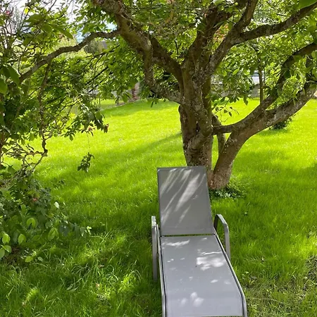 Maison Neuve Ideal Groupe,famille, Jardin Prive Marmoutier