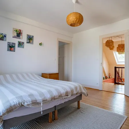 Maison Neuve Ideal Groupe,famille, Jardin Prive * Marmoutier