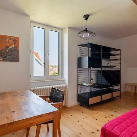 Maison Neuve, Grand Jardin, Parking Prive, Ideal Groupe Et Famille Marmoutier