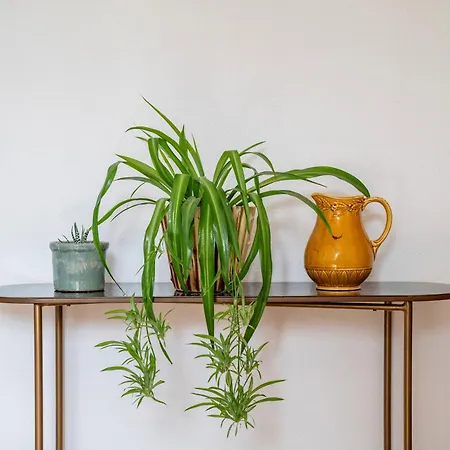 Maison Neuve, Grand Jardin, Parking Prive, Ideal Groupe Et Famille *