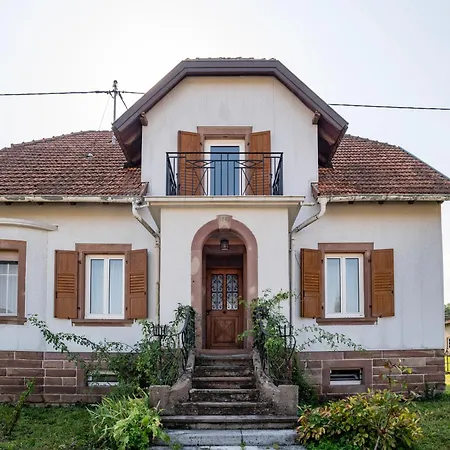Maison Neuve, Grand Jardin, Parking Prive, Ideal Groupe Et Famille Nyaraló Marmoutier