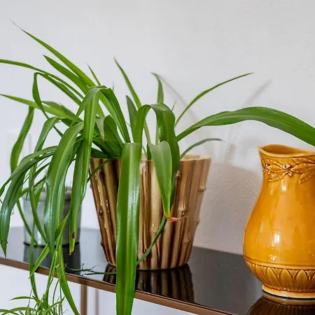 Tatil Evi Maison Neuve, Grand Jardin, Parking Prive, Ideal Groupe Et Famille Marmoutier